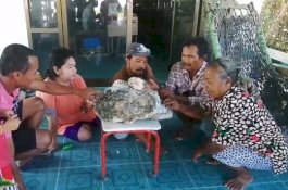 Bisa Mendadak Kaya Nih, Pemulung Temukan Muntah Paus Bernilai Rp9 Miliar