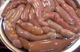 Ikan Berbentuk Penis Berserakan di Pantai, Bisa Dimakan