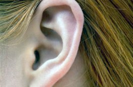 Penyebab Jerawat Telinga dan Cara Mengobatinya