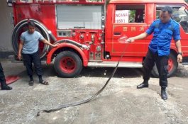 Ular Kobra 2 Meter Bikin Geger di Bantaeng, Ditemukan di Lemari Salon