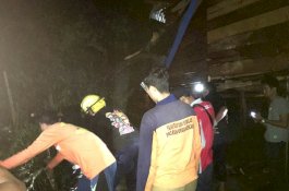 Hujan Deras, Pohon Tumbang Timpa Dapur Rumah Warga