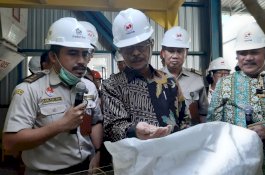 BPS: Ekspor Pertanian RI Naik di Saat Sektor Lainya Menurun