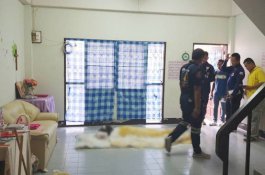 Tetangga Cium Bau Busuk, Ternyata Ada Jasad yang Ditunggu Bangkit Oleh 3 Wanita