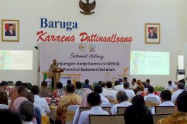 Terima Kunker Komisi VI DPR RI, Nurdin Abdullah Curhat soal Warga Pulau Belum Nikmati Listrik