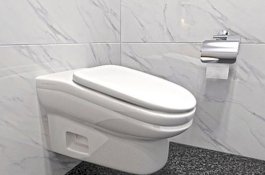 Benarkah Toilet Miring Bisa Tingkatkan Produktivitas Karyawan, Alasannya Bikin Ngakak