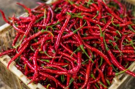 Doyan Makanan Pedas? Risiko Kematian Anda Lebih Rendah