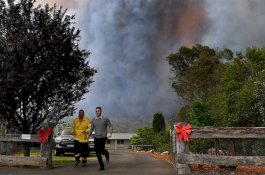Kebakaran Hutan dan Gelombang Panas, Australia Umumkan Keadaan Darurat di New South Wales