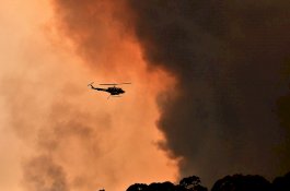 Dua Petugas Damkar Australia Tewas Demi Perangi Kebakaran Hutan