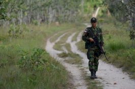 Prajurit TNI Meninggal karena Terkena Malaria di Papua