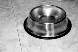 Kejam! Pria Ini Rutin Pukuli Pasangannya Sampai Suruh Makan di Mangkuk Anjing