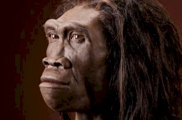 Hasil Temuan di Indonesia, Arkeolog Percaya Homo Erectus Hidup 108 Ribu Tahun Lalu