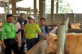 Mentan Bagi Induk Ternak Unggulan ke 34 Provinsi Plus Business Plan