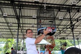 Diikuti Ribuan Peserta, Danny Pomanto Buka Lomba Kontes Bird Green Stand Celebes