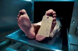 Demi Uang Pensiunan, Istri Simpan Mayat Suami di Lemari Pendingin selama 10 Tahun