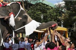 Unik, Gajah Berpakaian Santa Bagikan Hadiah Kepada Anak Sekolah