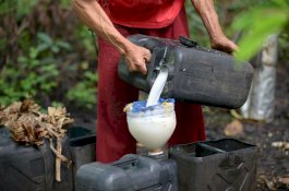 11 Tewas dan 300 Masuk RS Usai Keracunan Anggur Kelapa di Filipina