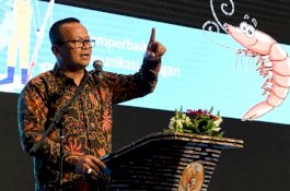 Jokowi Minta Menteri Edhy Tak Gegabah Ekspor Benih Lobster