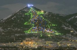 Sudah 28 Tahun, Kota Kecil ini Menyalakan Pohon Natal Terbesar di Dunia