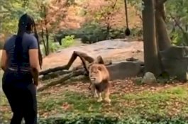 Bikin Geleng-Geleng Kepala, Ini 6 Kisah Kejahatan Paling Aneh di Dunia Sepanjang 2019