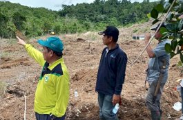 Kunjungi Lokasi Kebun Induk, Bupati Sidrap: Akan Jadi Percontohan dan Objek Agrowisata