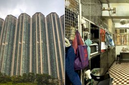 Duh, Apartemen Ini Seperti Kandang Hewan