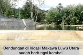 8 Tahun Rusak, Bendungan Makawa Lutra Berfungsi Kembali