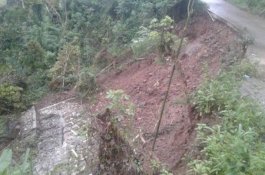 Sepanjang 2019, Terjadi 3.768 Bencana Alam di Indonesia