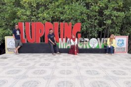 Libur Akhir Tahun, Ayo ke Hutan Mangrove Bulukumba