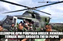 Bahu Seorang TNI Ditembak Tembus Perut, OPM Disebut Susah Masuk Daftar Teroris Internasional