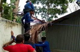 Hujan dan Angin Kencang, Rumah Dinas Dokter di Wajo Tertimpa Pohon Kelapa