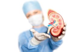 Sudah Diuji Coba ke Tikus, Ini Penemuan Baru dalam Terapi Gen untuk Mengobati Penyakit Ginjal