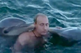 Rekaman Putin Berenang Bersama Lumba-lumba Jadi Viral