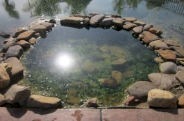 Mandi di Sumber Air Panas, Pria Ini Nyaris Tewas karena Bakteri Pemakan Otak