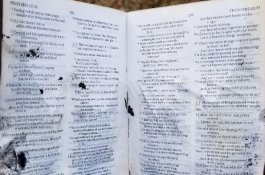 Rumahnya Terbakar, Keluarga Ini Temukan Alkitab dalam Kondisi Terbuka pada Ayat yang Mencengangkan