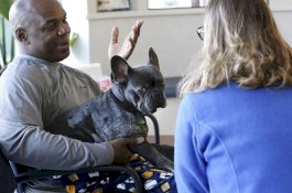 Dokter Hewan Hidupkan Kembali Anjing yang Jantungnya Sempat Berhenti 