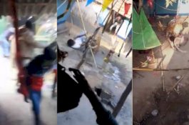 Macan Tutul Mengamuk di Desa, Warga di India Berhamburan