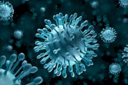 China Tingkatkan Kewaspadaan Terkait Virus Misterius