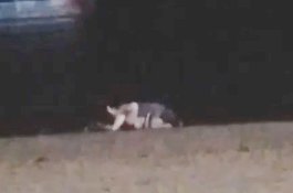 Turis Direkam Sedang Bencinta di Pantai, Warga Marah