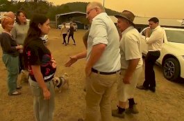 Video Viral, PM Australia Melarikan Diri saat Didemo Warga yang Bawa Anjing dan Kambing