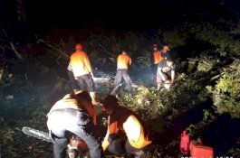 Angin Kencang Hantam Kota Parepare, Puluhan Rumah Rusak