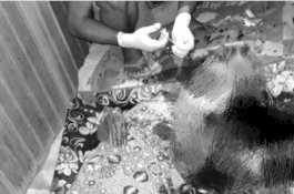 Pria Ini Potong Leher Ibunya yang Hendak Salat, Lalu Umumkan Kematiannya di Toa Masjid