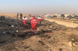 Pesawat Jatuh di Iran, Seluruh Penumpang Tewas