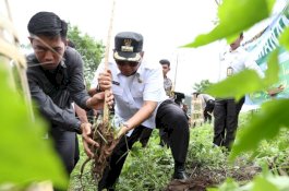 Iqbal Suhaeb Wariskan 4000 Pohon untuk Generasi Penerus di Makassar
