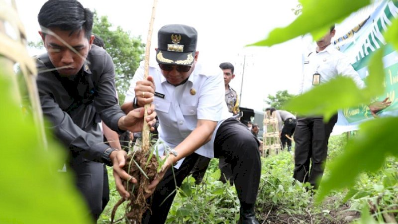 Penjabat Wali Kota Makassar, Iqbal Suhaeb menanam pohon, Rabu (8/1/2020). 
