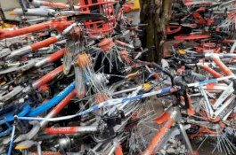 Curi 1.000 Sepeda, Pria ini Dipenjara 3,5 Tahun