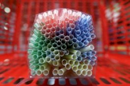 Penelitian Terbaru di Inggris: Larangan Kemasan Plastik Justru Dapat Alam