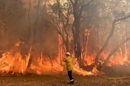 Pengedar Narkoba Sumbangkan 10% dari Penjualan Kokain-nya untuk Australia