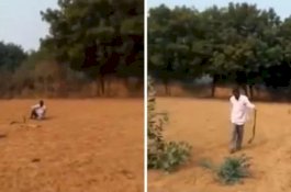 Bukannya Lari Menghindar, Pria Mabuk Ini Malah Menantang Ular Kobra