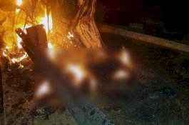 Buntuti dari Jarak Setengah Mil, Pasukan Khusus AS Seret Jasad Soleimani untuk Dokumentasi