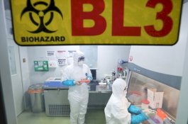 Virus Misterius di China Makan Korban Tewas, 7 Orang Kritis
